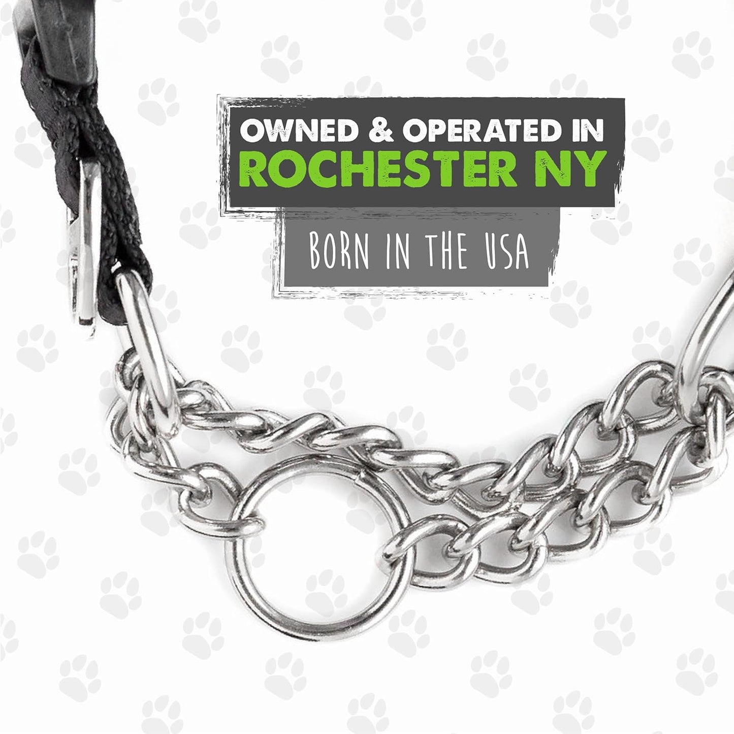 Martingale Collar with Buckle | Training Dog Collar, Limited Cinch Chain