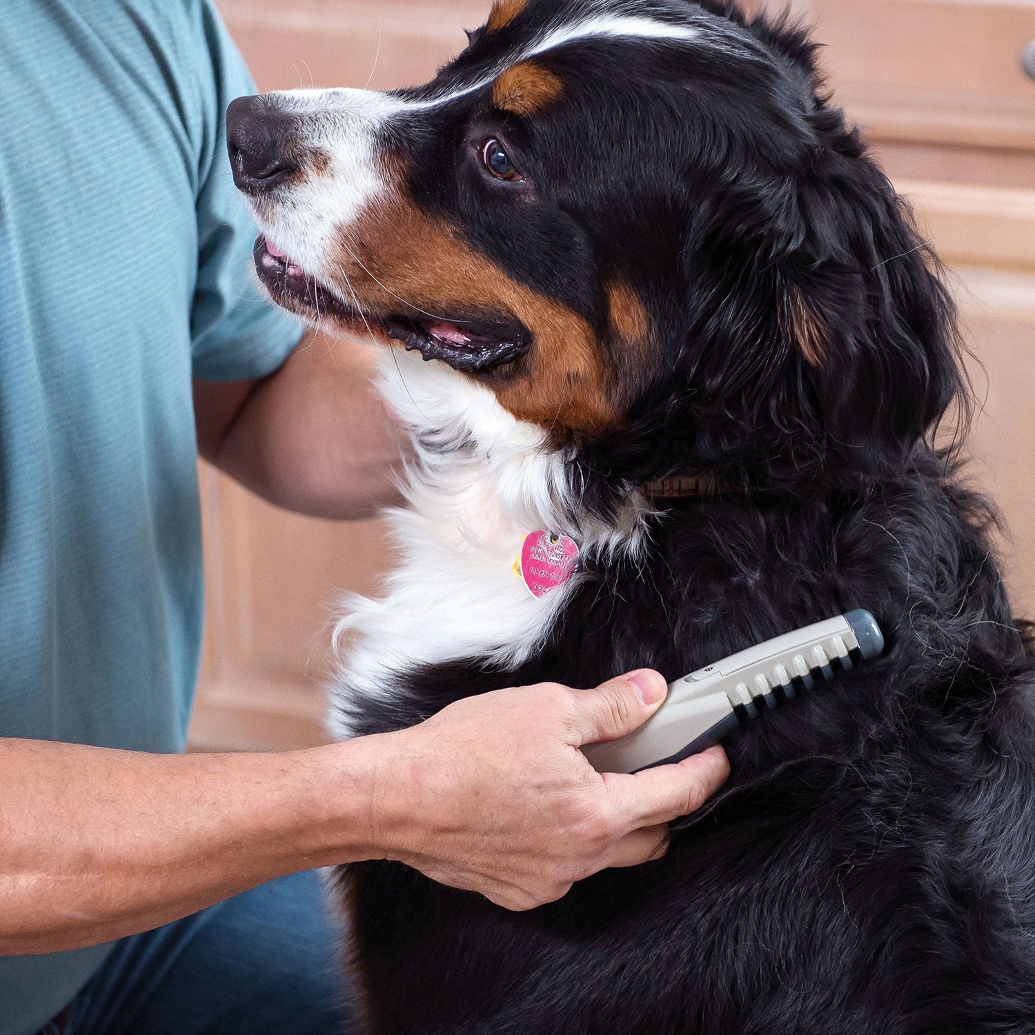 Grooming Tools & Bath