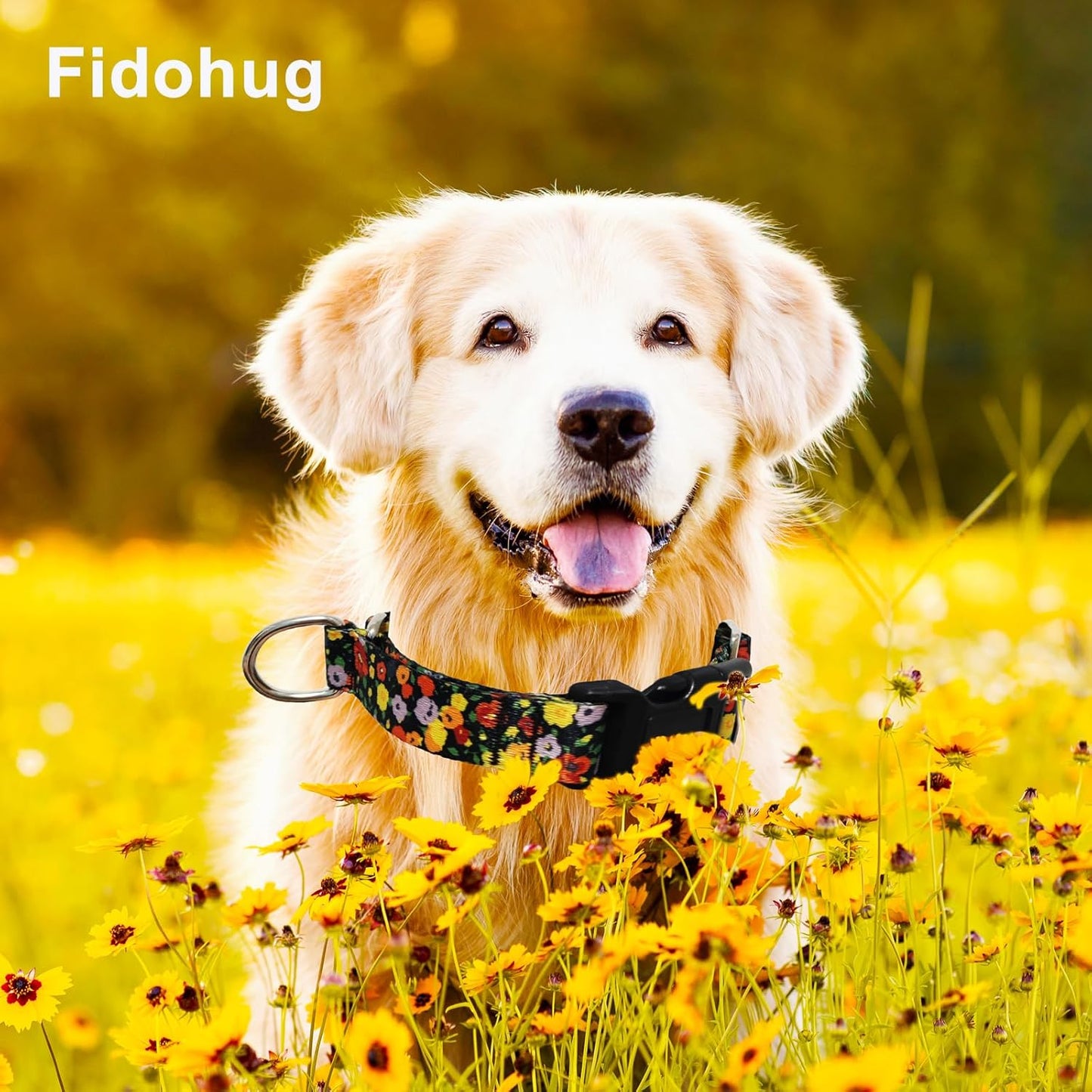 Martingale Collar for Dogs with Buckle Adjustable Nylon Limited Slip Training Dog Collars