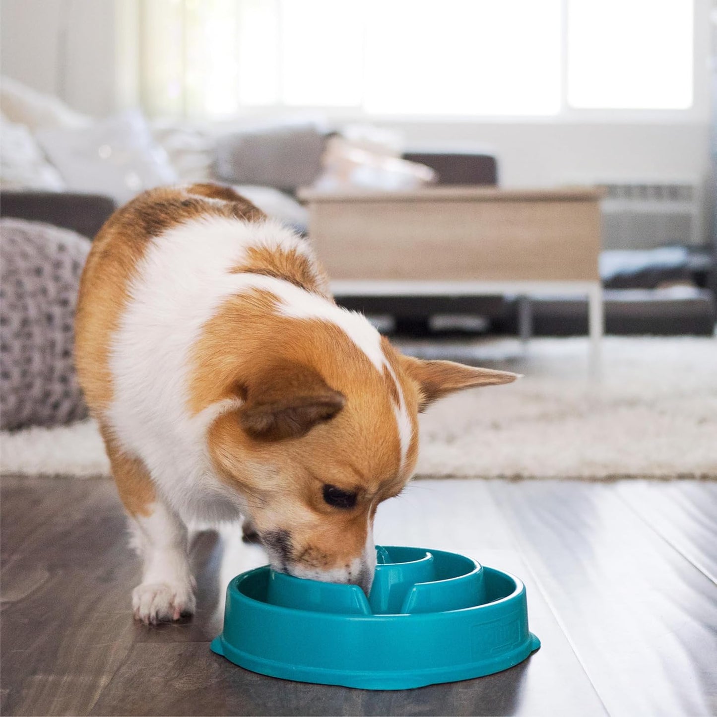 Fun Feeder Slo Bowl, Medium Slow Feeder Dog Bowl, 2 Cups, Turquoise 