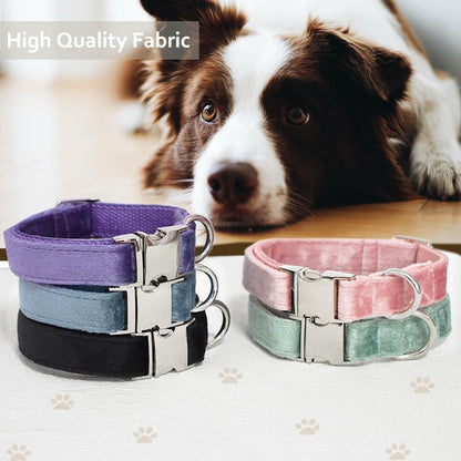 Velvet Dog Collar, Soft Dog Collar for Small Medium Large Dogs
