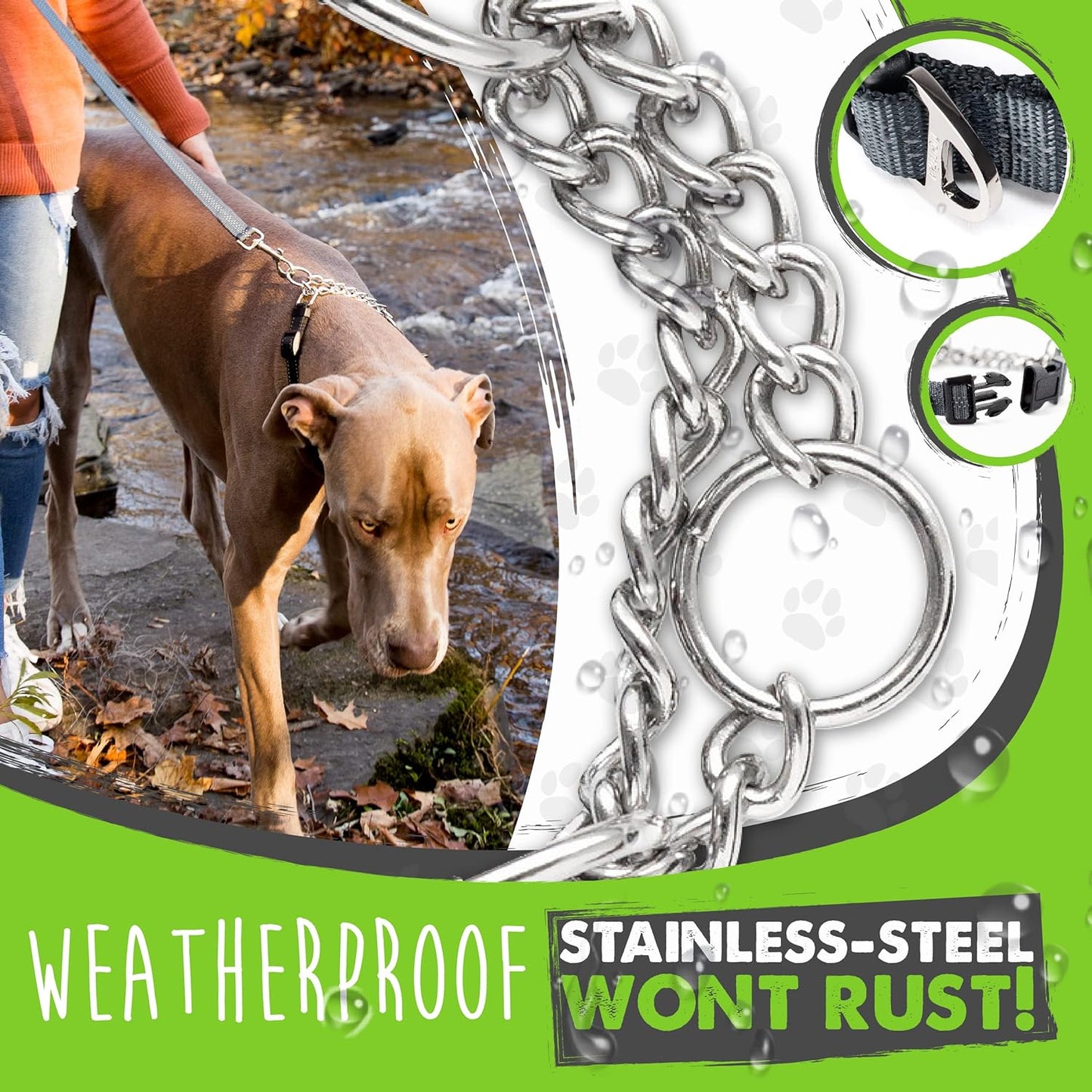 Martingale Collar with Buckle | Training Dog Collar, Limited Cinch Chain