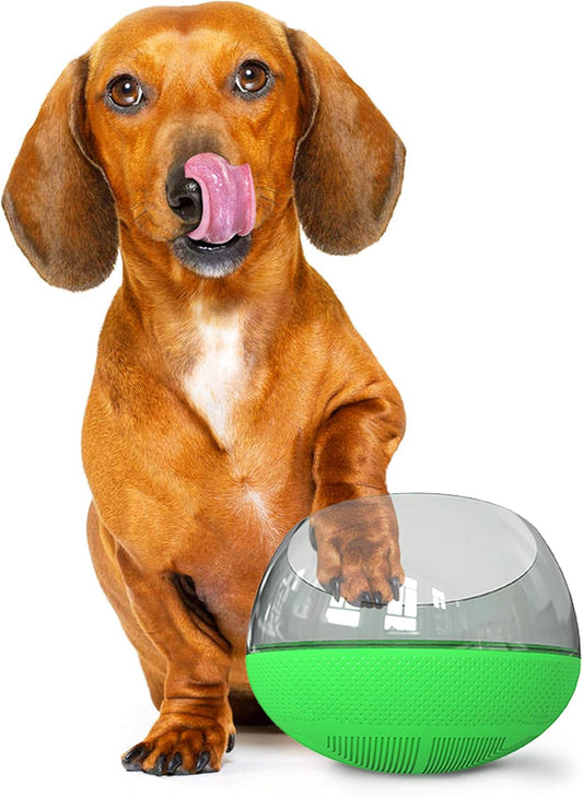 Slow Feeder Bowl for Dogs Cats, No-Spill Large Capacity 