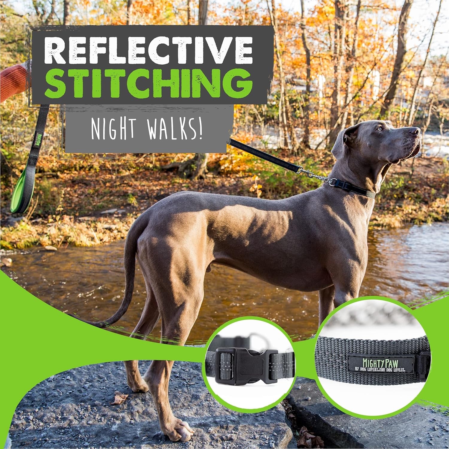 Martingale Collar with Buckle | Training Dog Collar, Limited Cinch Chain