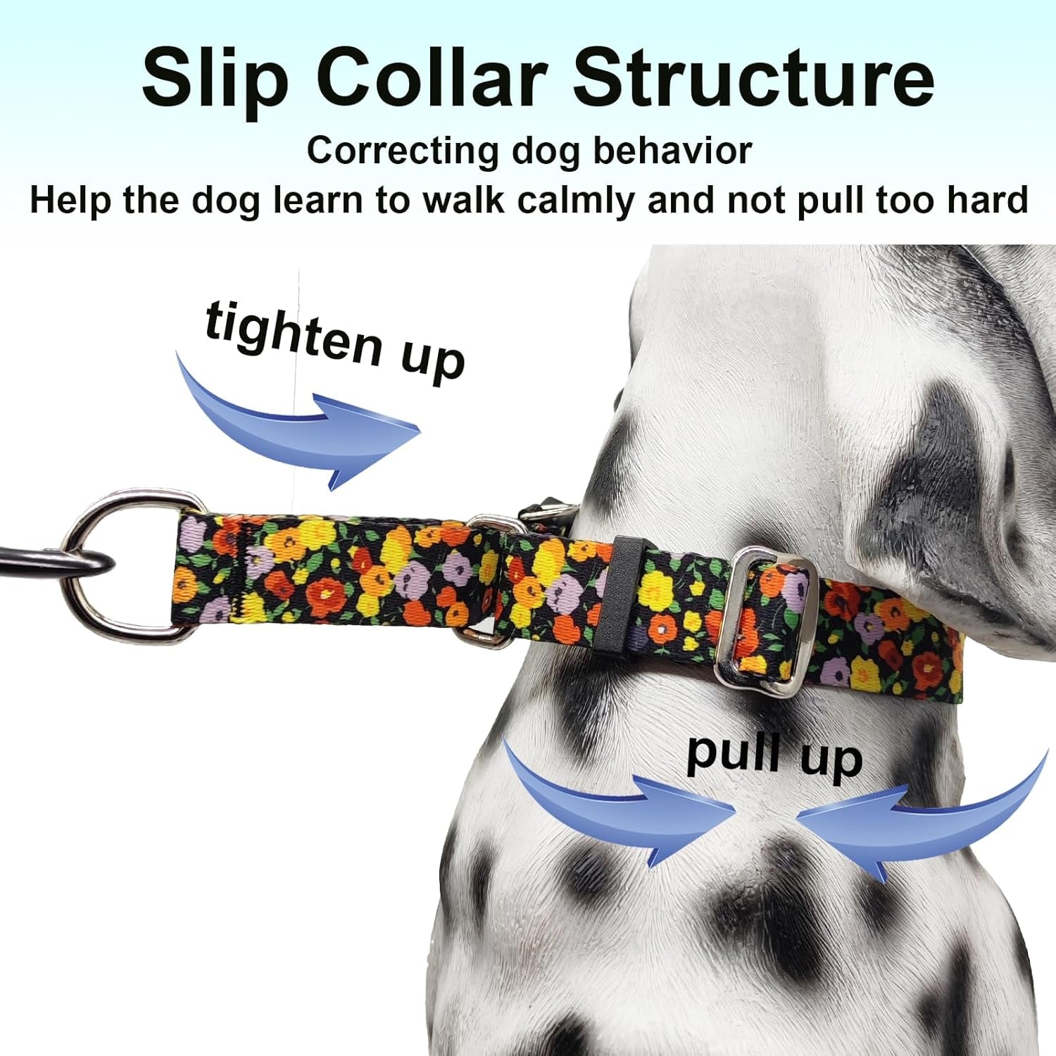 Martingale Collar for Dogs with Buckle Adjustable Nylon Limited Slip Training Dog Collars