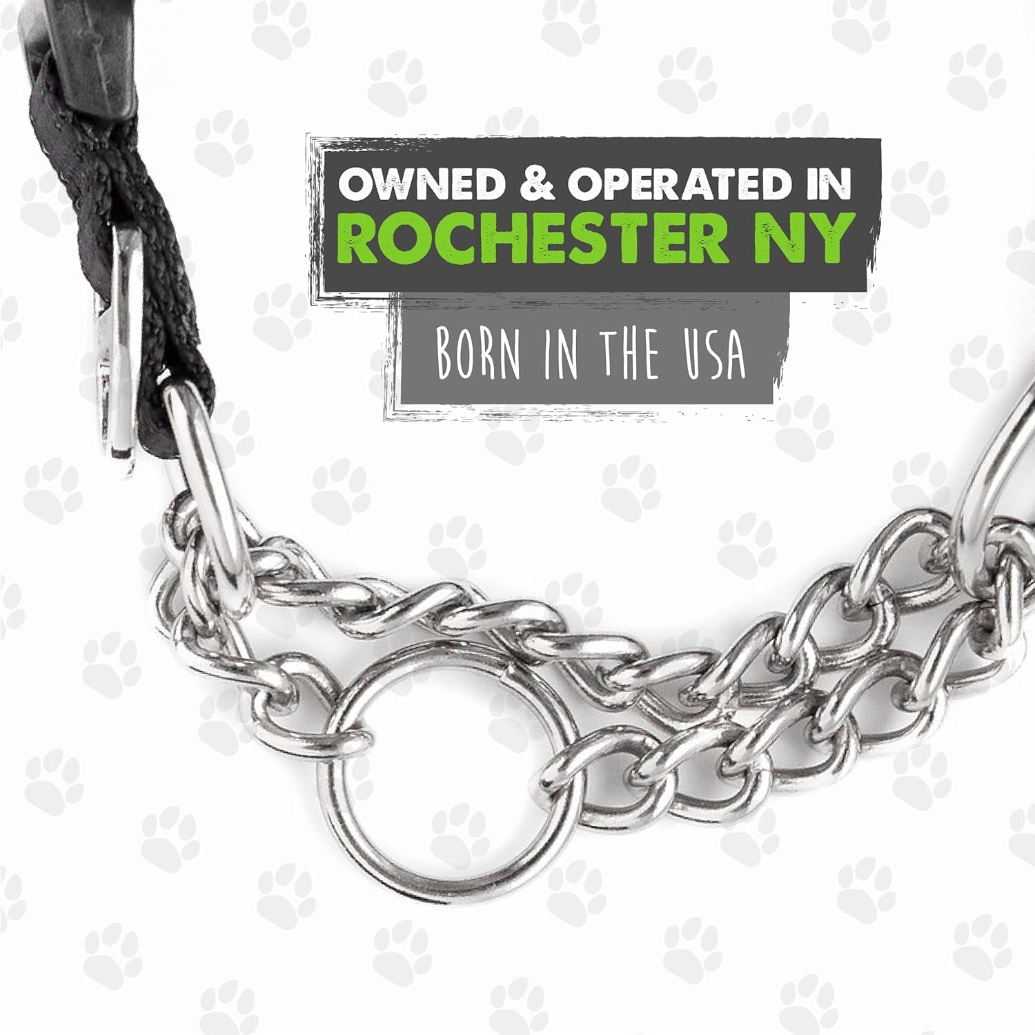 Martingale Collar with Buckle | Training Dog Collar, Limited Cinch Chain