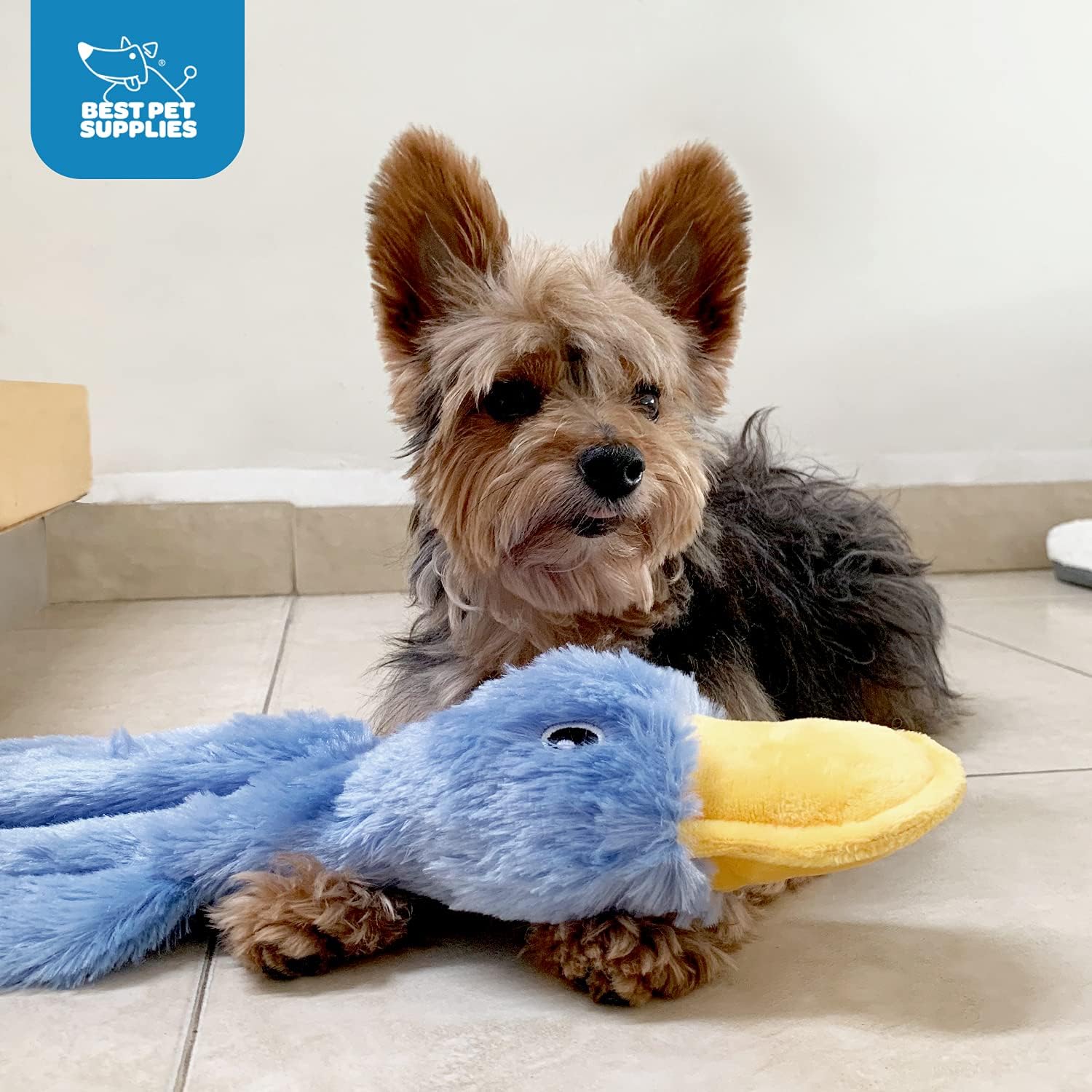 Crinkle Dog Toy, Fun for Indoor Puppies and Senior Pups, Plush No Mess Chew and Play