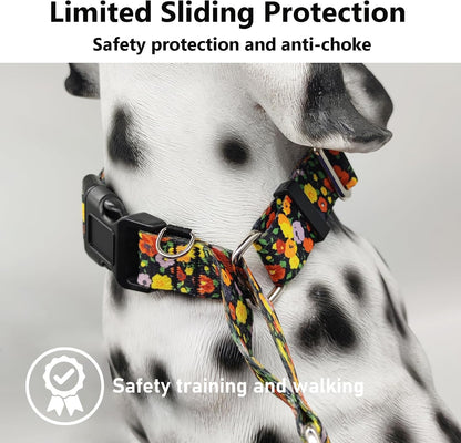 Martingale Collar for Dogs with Buckle Adjustable Nylon Limited Slip Training Dog Collars
