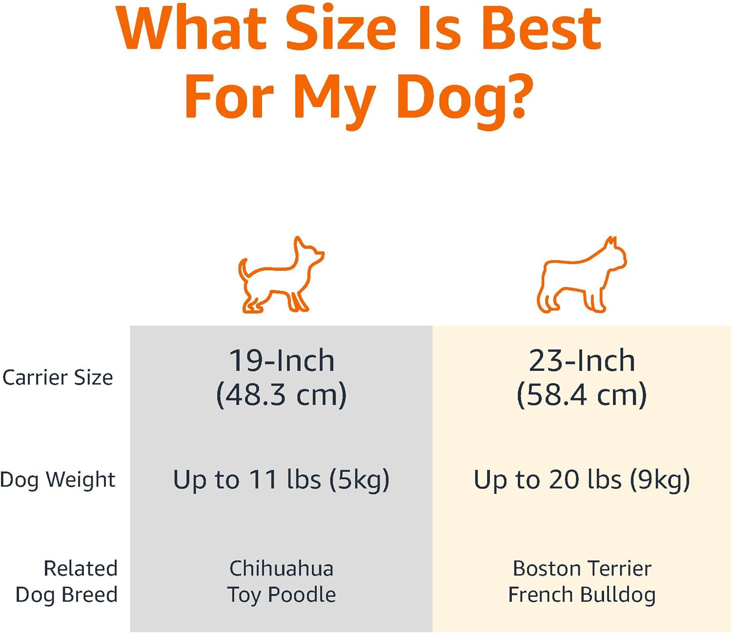 2-Door Top-Load Hard-Sided Dogs, Cats Pet Travel Carrier