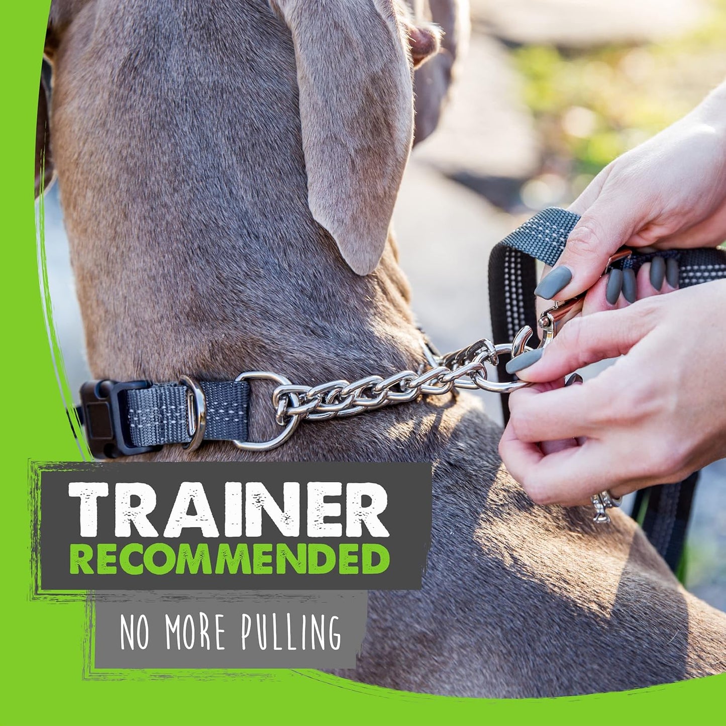 Martingale Collar with Buckle | Training Dog Collar, Limited Cinch Chain