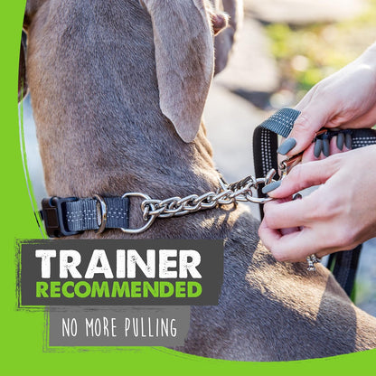 Martingale Collar with Buckle | Training Dog Collar, Limited Cinch Chain