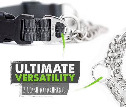 Martingale Collar with Buckle | Training Dog Collar, Limited Cinch Chain