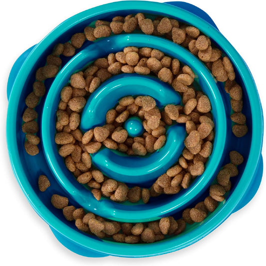 Fun Feeder Slo Bowl, Medium Slow Feeder Dog Bowl, 2 Cups, Turquoise 