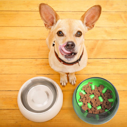 Slow Feeder Bowl for Dogs Cats, No-Spill Large Capacity 