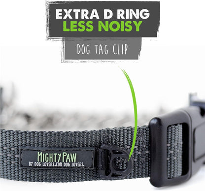 Martingale Collar with Buckle | Training Dog Collar, Limited Cinch Chain