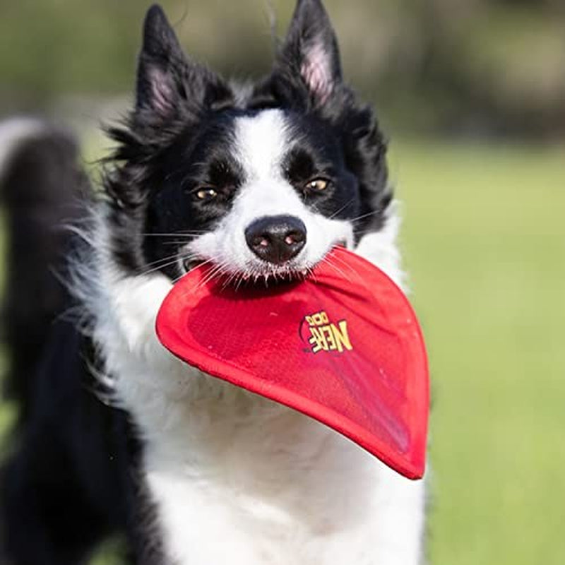 Nerf Dog Nylon Flyer Dog Toy, Frisbee, Lightweight, Durable and Water Resistant,