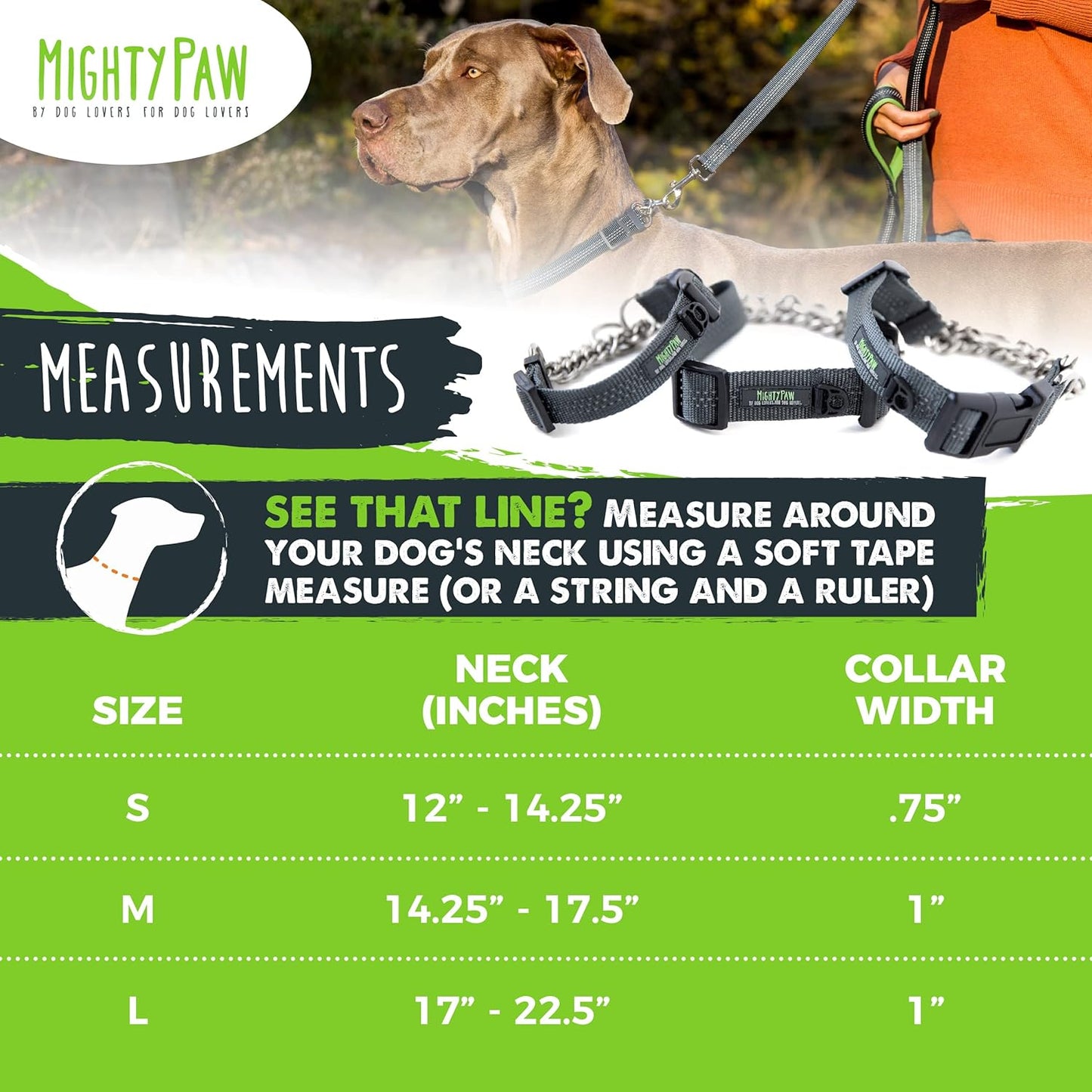 Martingale Collar with Buckle | Training Dog Collar, Limited Cinch Chain