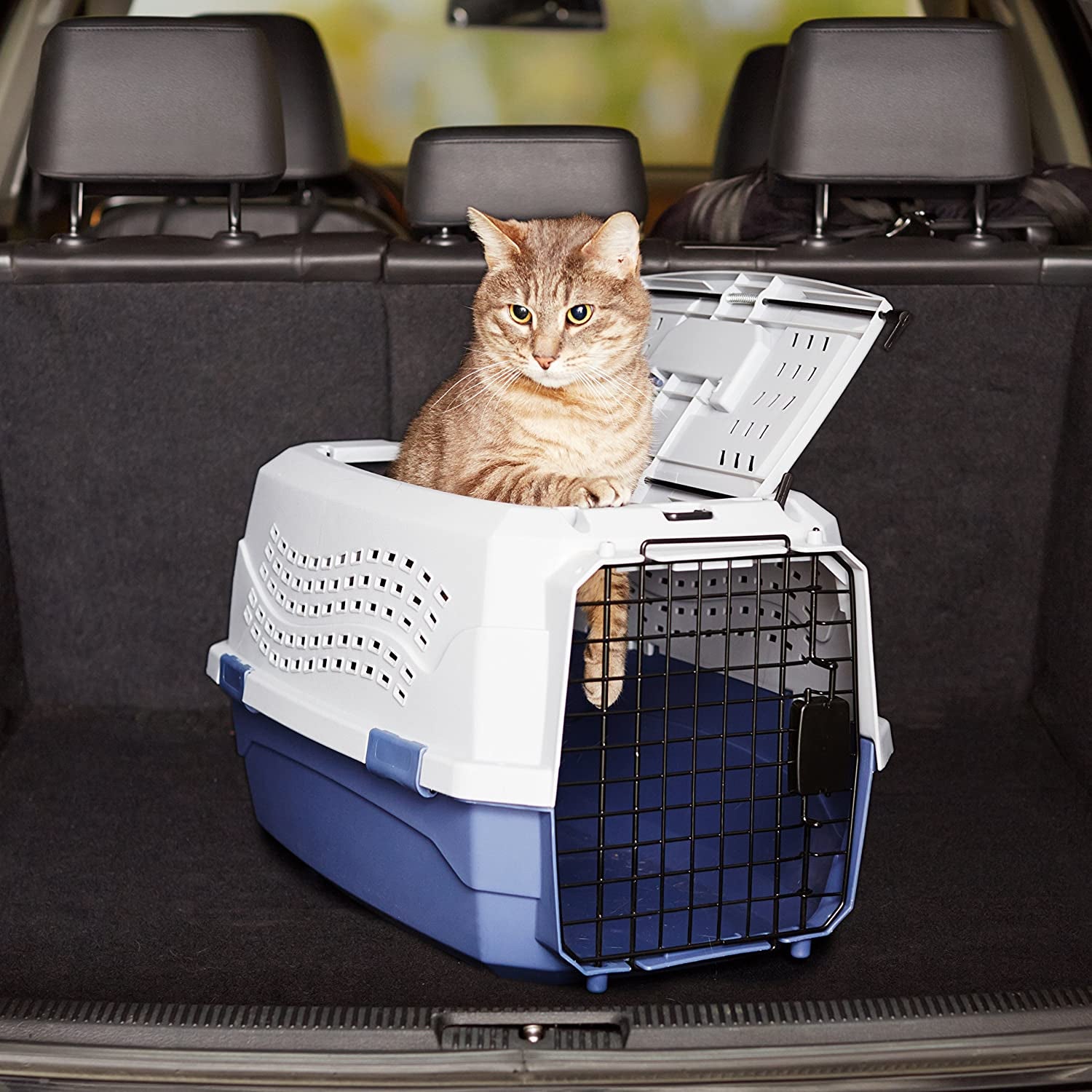 2-Door Top-Load Hard-Sided Dogs, Cats Pet Travel Carrier